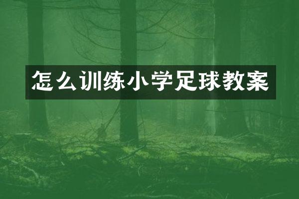 怎么训练小学足球教案
