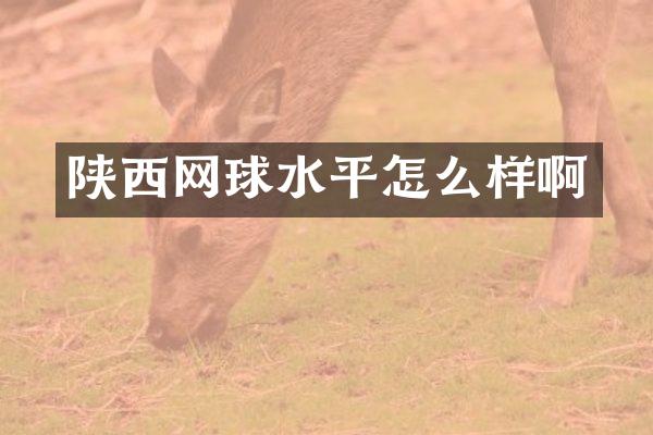 陕西网球水平怎么样啊