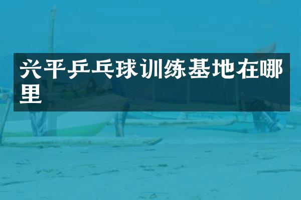 兴平乒乓球训练基地在哪里