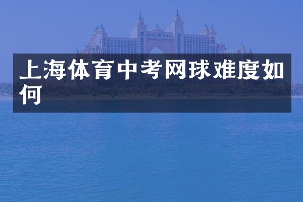 上海体育中考网球难度如何