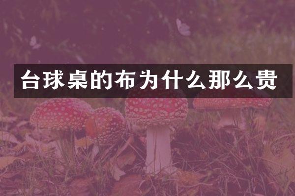 台球桌的布为什么那么贵