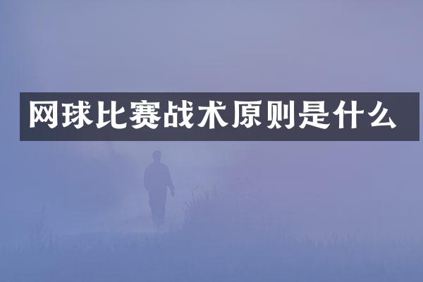网球比赛战术原则是什么
