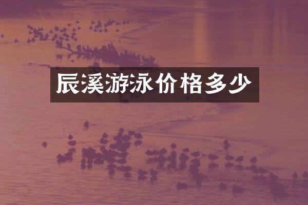 辰溪游泳价格多少