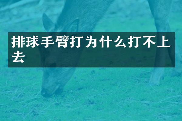 排球手臂打为什么打不上去