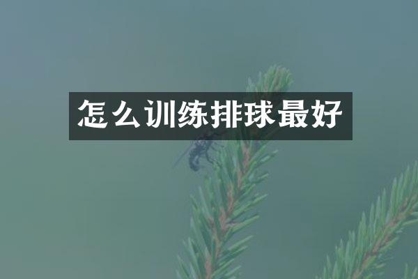 怎么训练排球最好