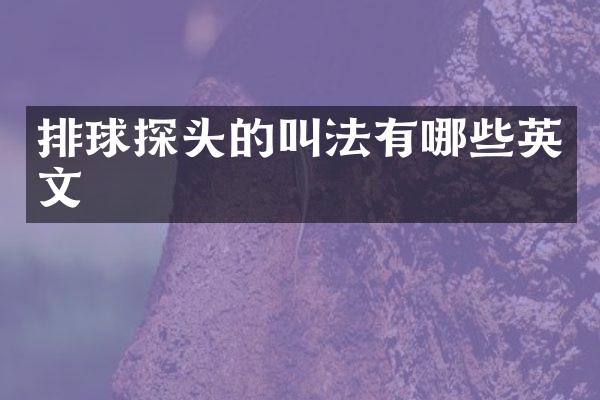 排球探头的叫法有哪些英文