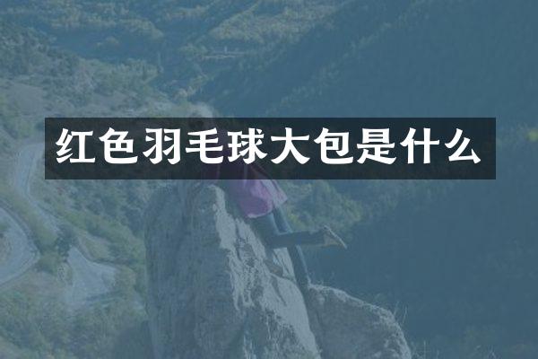 红色羽毛球大包是什么