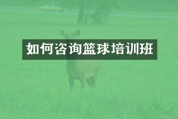 如何咨询篮球培训班