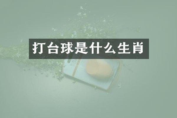 打台球是什么生肖