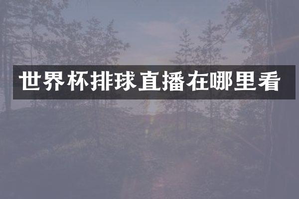 世界杯排球直播在哪里看