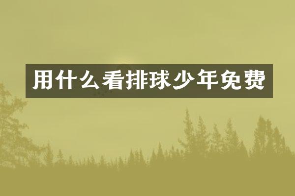 用什么看排球少年免费