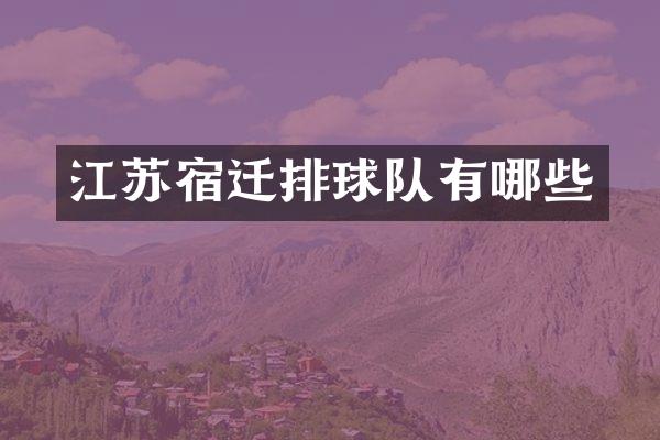 江苏宿迁排球队有哪些