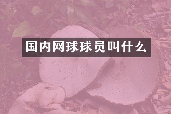 国内网球球员叫什么
