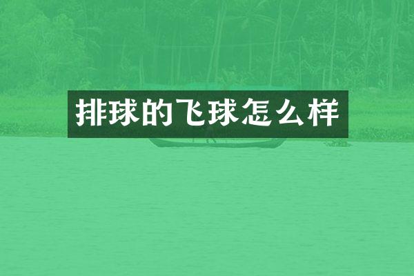 排球的飞球怎么样