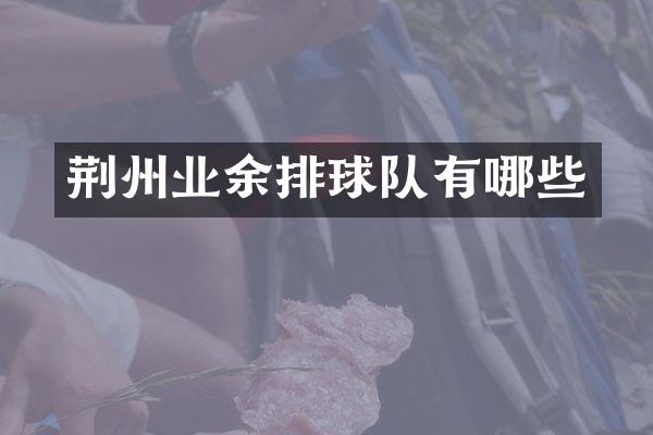 荆州业余排球队有哪些
