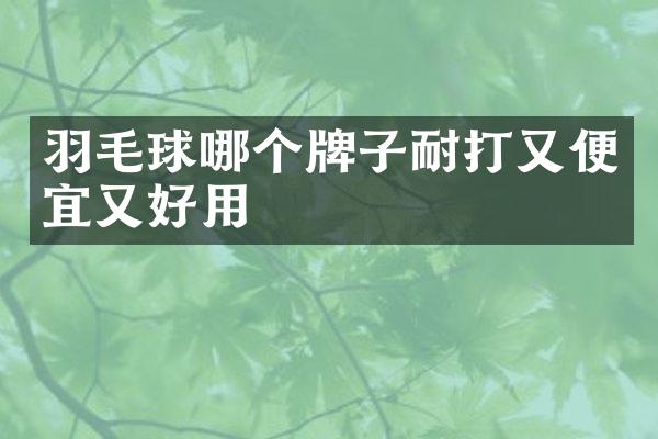 羽毛球哪个牌子耐打又便宜又好用