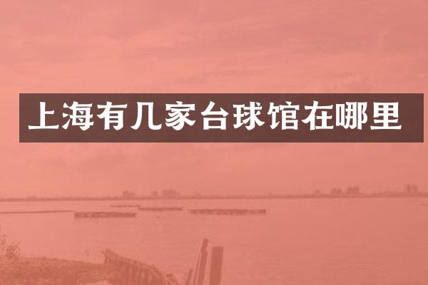 上海有几家台球馆在哪里