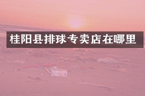 桂阳县排球专卖店在哪里