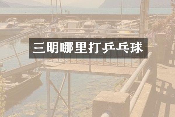 三明哪里打乒乓球