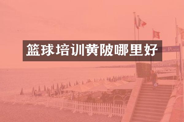 篮球培训黄陂哪里好