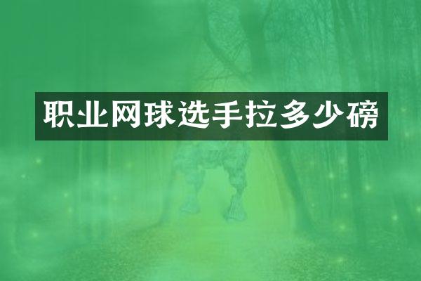 职业网球选手拉多少磅