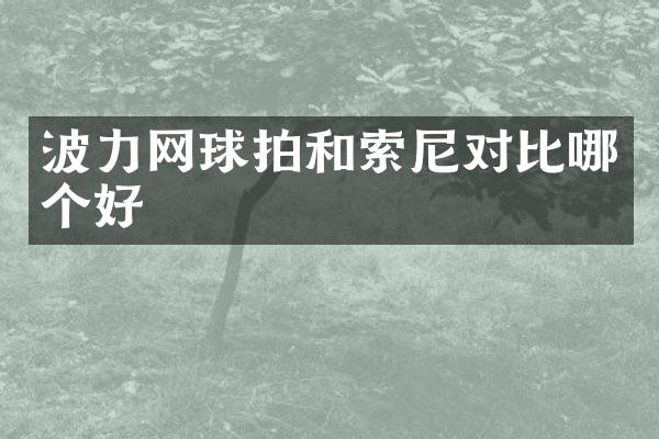 波力网球拍和对比哪个好