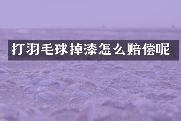 打羽毛球掉漆怎么赔偿呢