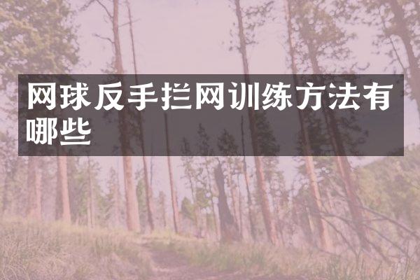 网球反手拦网训练方法有哪些