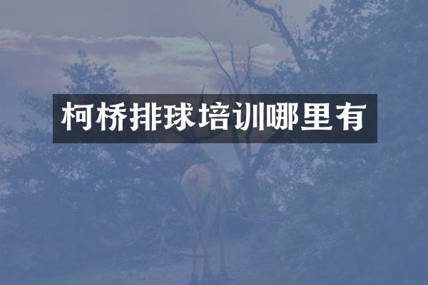 柯桥排球培训哪里有