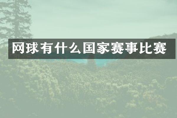 网球有什么国家赛事比赛