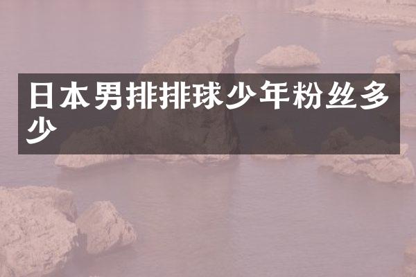 日本男排排球少年粉丝多少