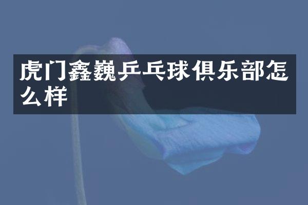 虎门鑫巍乒乓球俱乐部怎么样