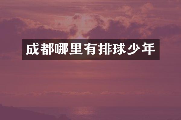 成都哪里有排球少年