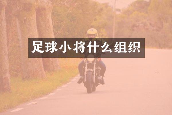 足球小将什么组织
