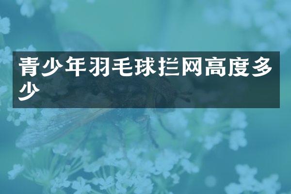 青少年羽毛球拦网高度多少