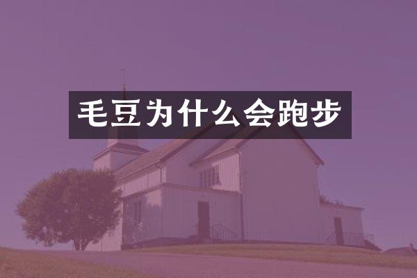 毛豆为什么会跑步
