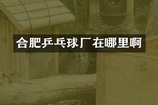 合肥乒乓球厂在哪里啊