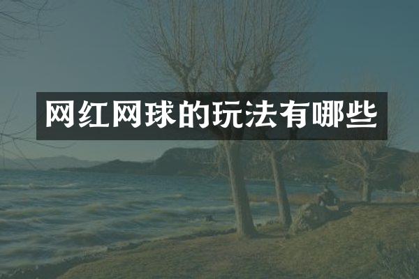 网红网球的玩法有哪些