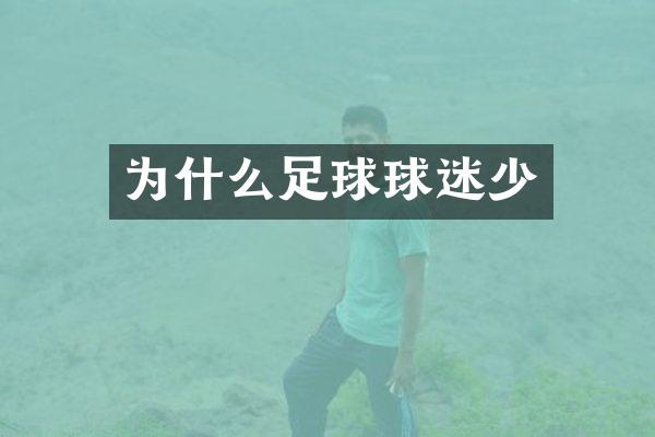 为什么足球球迷少