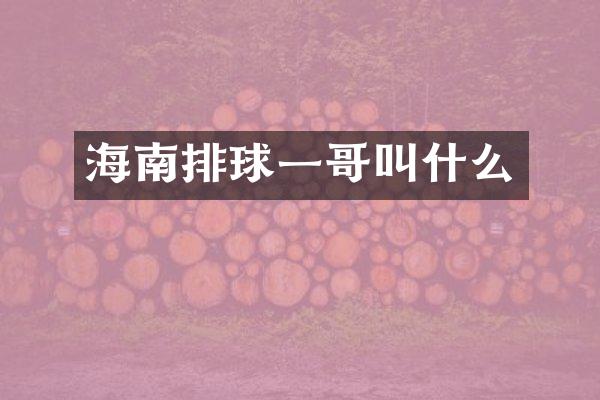 海南排球一哥叫什么