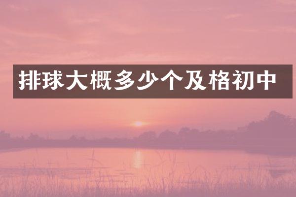 排球大概多少个及格初中