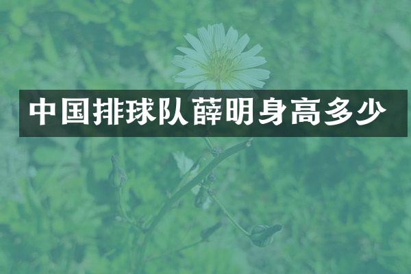 中国排球队薛明身高多少