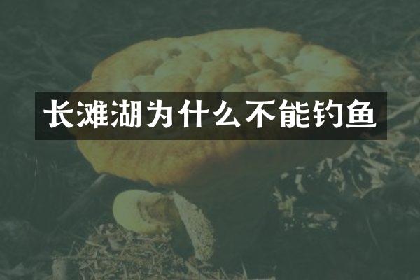 长滩湖为什么不能钓鱼