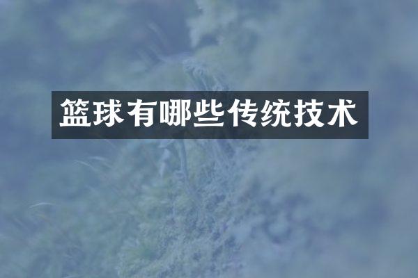 篮球有哪些传统技术