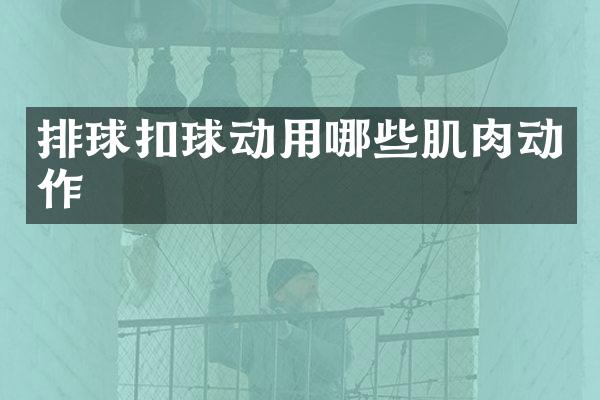 排球扣球动用哪些肌肉动作