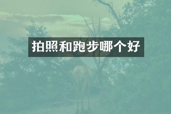 拍照和跑步哪个好