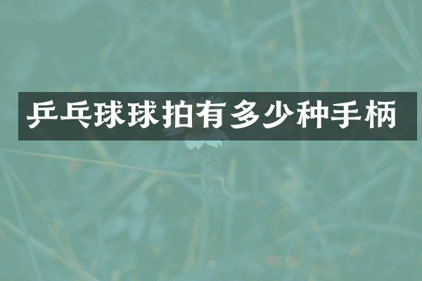 乒乓球球拍有多少种手柄
