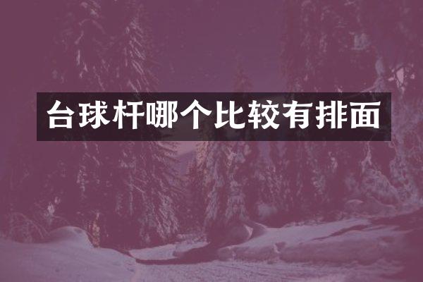 台球杆哪个比较有排面