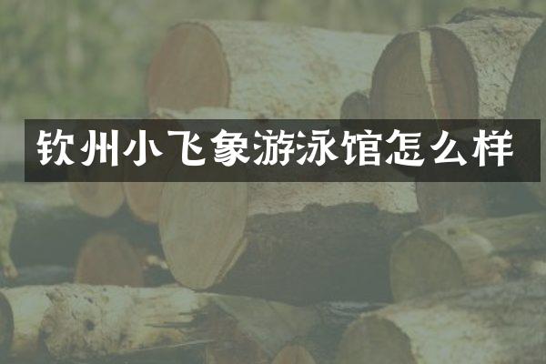 钦州小飞象游泳馆怎么样