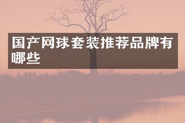 国产网球套装推荐品牌有哪些